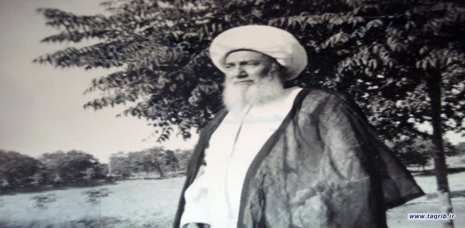 آیت الله عبدالکریم زنجانی و زمینه ایجاد دارالتقریب مصر!